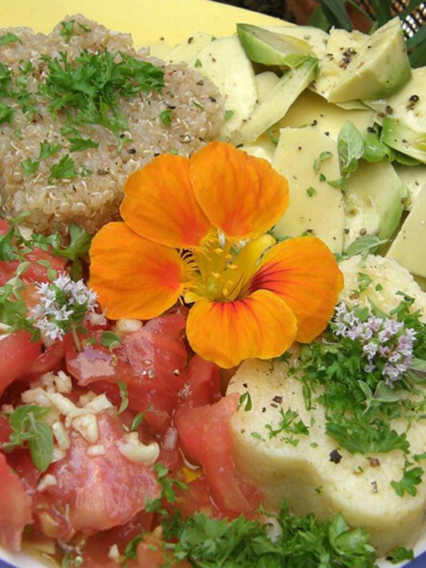 Quinoa con aguacate